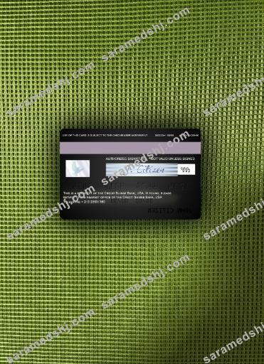 USA Credit Suisse Bank visa card photolook back